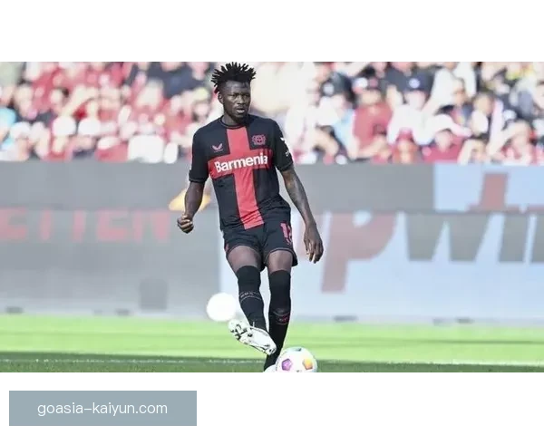 金玟哉职业生涯成就分析，表现稳健但遗憾常伴